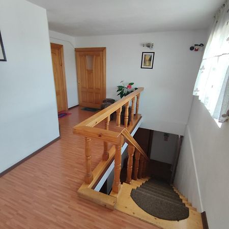 Camere De Inchiriat Edelweiss Dumbrava Roșie Kültér fotó