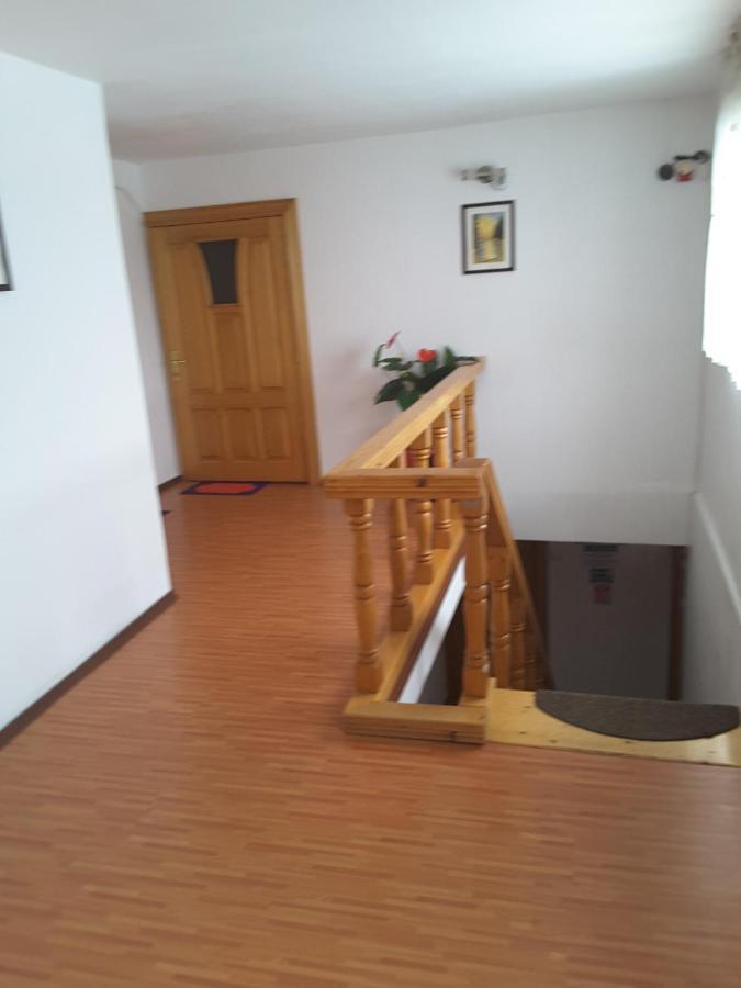 Camere De Inchiriat Edelweiss Dumbrava Roșie Kültér fotó